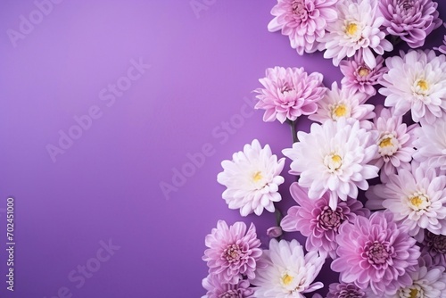 Alstroemeriaand chrysanthemums flowers on violet background
