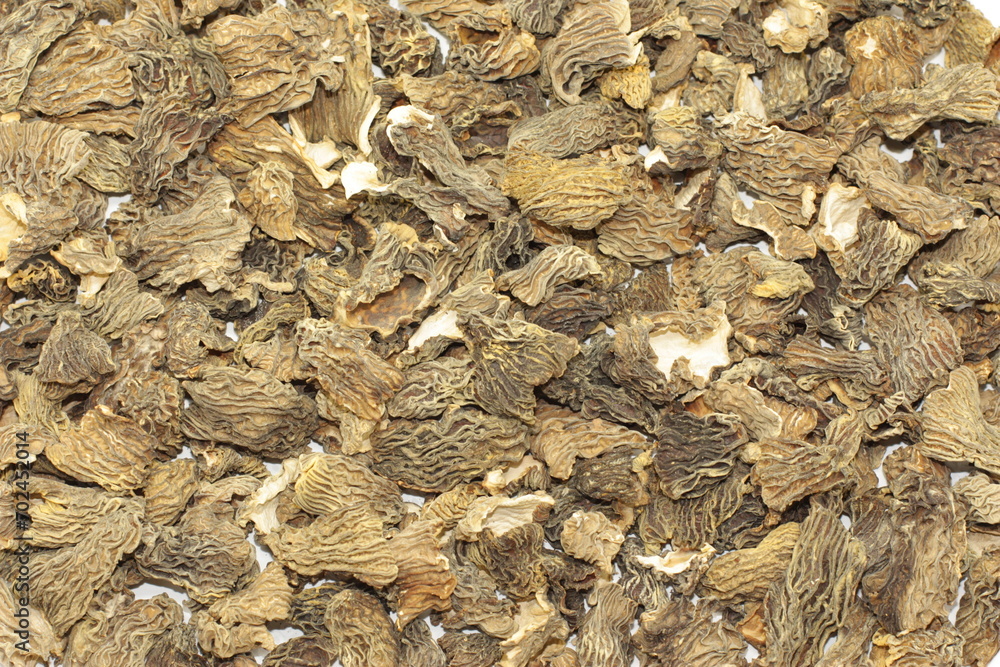 Many dried Verpa bohemica mushrooms lie on the table, laid out in a thin layer. The first spring mushrooms are ready for use for cooking. High quality photo Many dried Verpa bohemica mushrooms lie on the table, laid out in a thin layer. The first spring mushrooms are ready for use for cooking. High quality photo