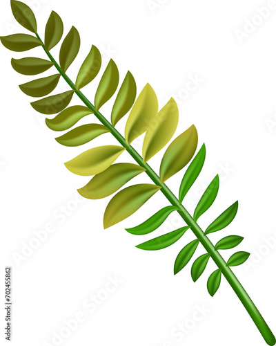 Rowan  fern  tropical leaf. Autumn .For postcard  cover design  brochure  greeting card template. on transparent  png