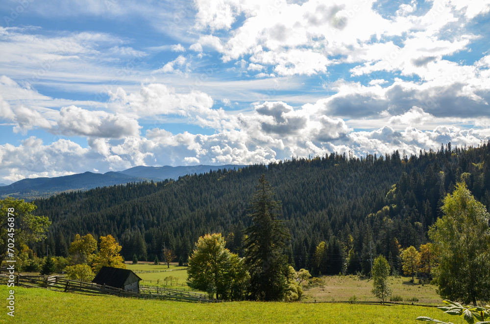 Rural wooden houses at the foot of the green Carpathian Mountains covered with evergreen spruce pine forest and distant mountain peaks on summer sunny day 