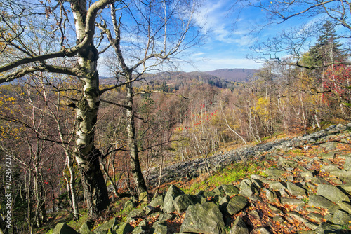 Blockhalde am Berg Klic oder alt Kleis im Lausitzer Gebirge, Böhmen - Stone run on mountain Klic, Kleis in Lusatian Mountains