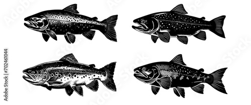 Stream Wanderer: Detailed Trout Ink Drawing