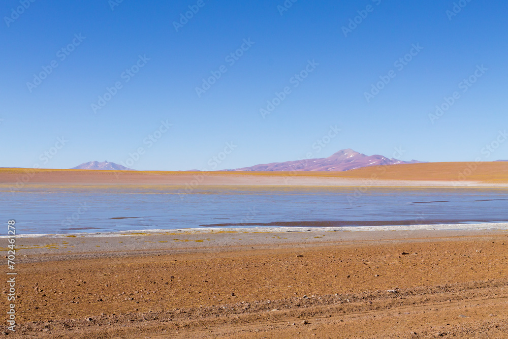 Bolivian lagoon view,Bolivia