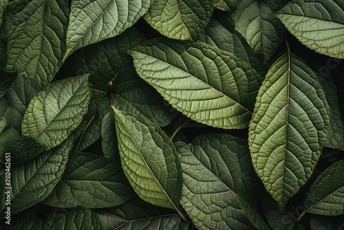 green leaf background 