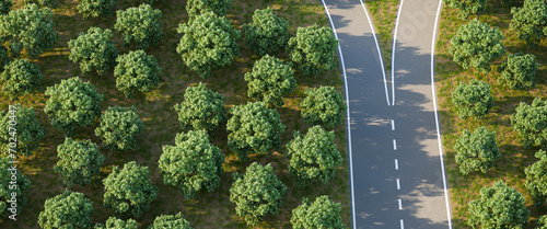Arial image of a forked road within a forest of horse chestnut trees - concept for 