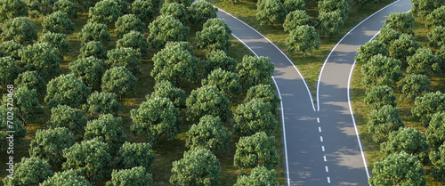 Aerial image of a forked road within a forest of horse chestnut trees - concept for "taking a decision" / choice / options. 3d render