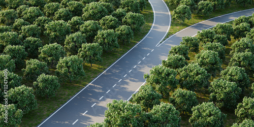 Фотография Aerial image of a forked road within a forest of horse chestnut trees - concept for taking a decision / choice / options