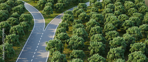 Slika na platnu Aerial image of a forked road within a forest of horse chestnut trees - concept for taking a decision / choice / options