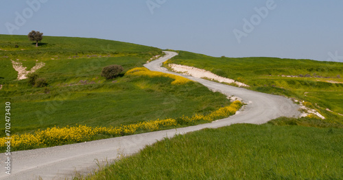 Empty curved road passing through green meadow. Countryside landscape