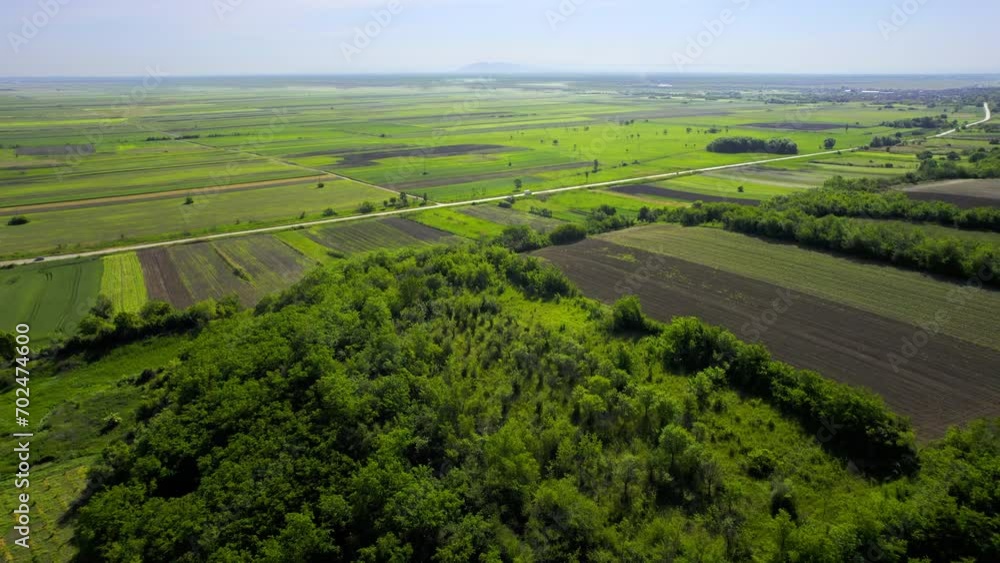 Aerial view of green agricultural fields creating patchwork and road passing by Aerial view of green agricultural fields creating patchwork and road passing by