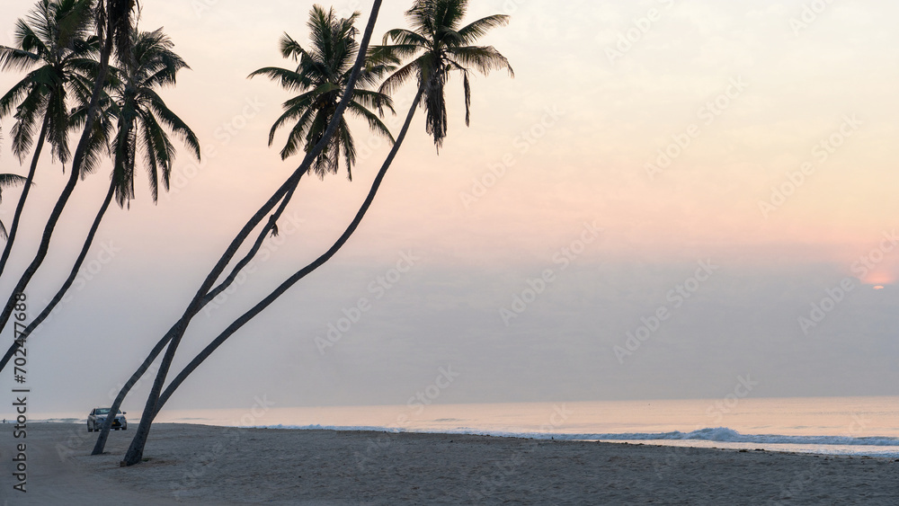 many coconut trees at gorgeous al haffa beach in salalah during sunrise, Oman, - obrazy, fototapety, plakaty 
