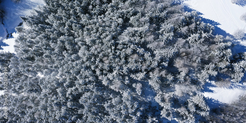 aerial view of a snow covered fir forest near the Calamone frozen lake. Ventasso, Ramiseto, Reggio Emilia, Italy