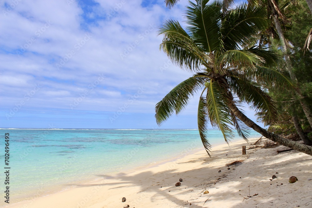 Rarotonga coconut palm paradise beach white