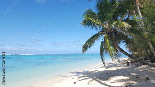 Fototapeta Naklejka Na Ścianę i Meble -  Rarotonga coconut palm paradise beach white 