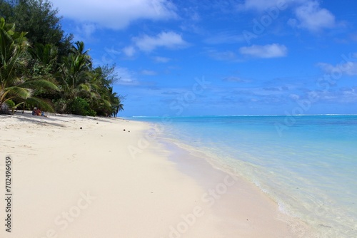 Rarotonga coconut palm paradise beach white  © LetsSeeGoodWaves