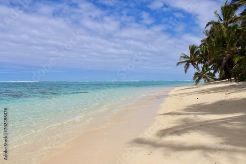 Rarotonga coconut palm paradise great beach white © LetsSeeGoodWaves