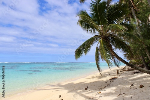 Rarotonga coconut palm paradise beach white © LetsSeeGoodWaves
