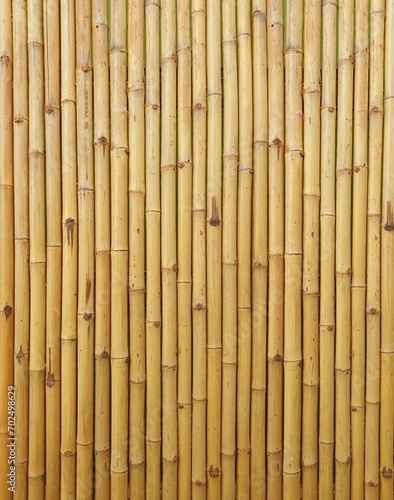 Bamboo vertical background.