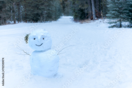 Happy funny snowman in the woods