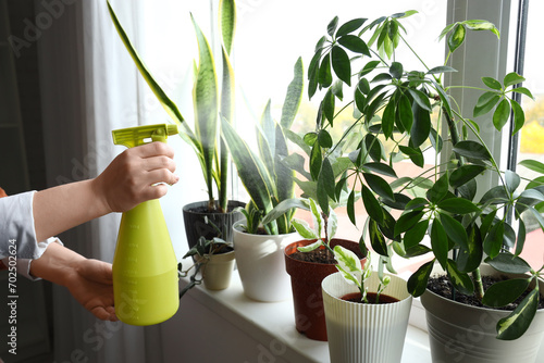 Woman watering plants on windowsill at home