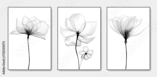 Luxury black and white art background with transparent flowers in watercolor style. Botanical ink poster set for decoration, wallpaper, prints, textiles, packaging, interior design.