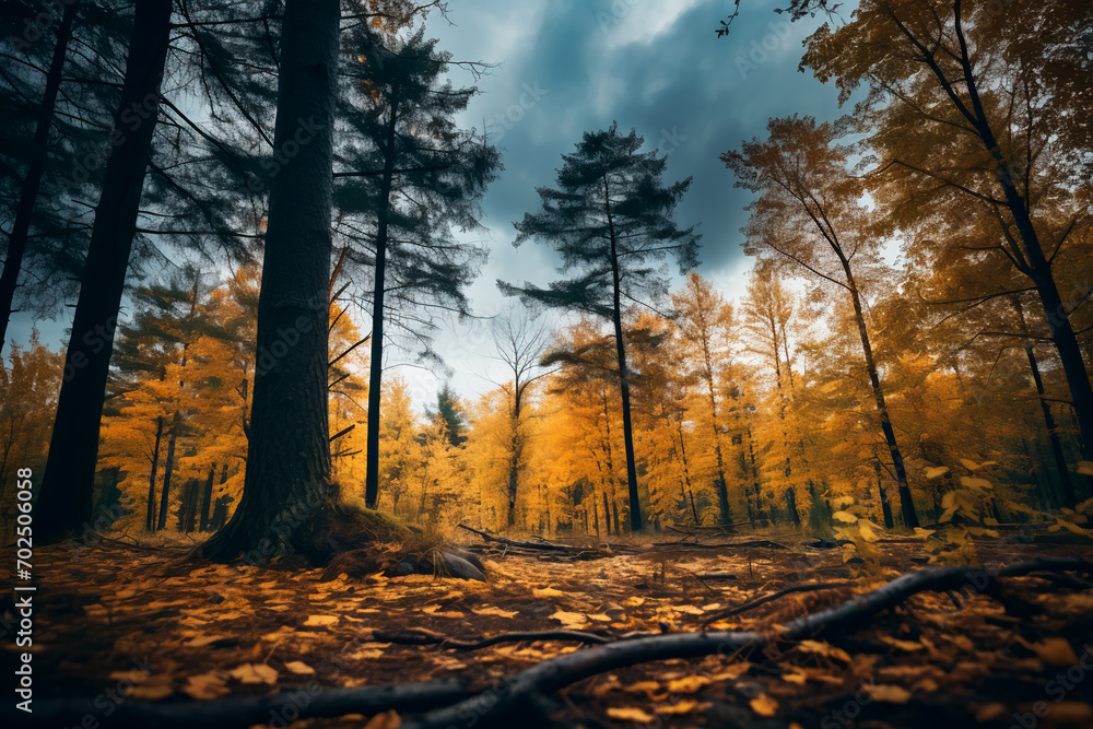 The periphery of the autumn forest, adorned with yellowed leaves, is under a blue sky overshadowed by dark clouds, suggesting an imminent rain shower.