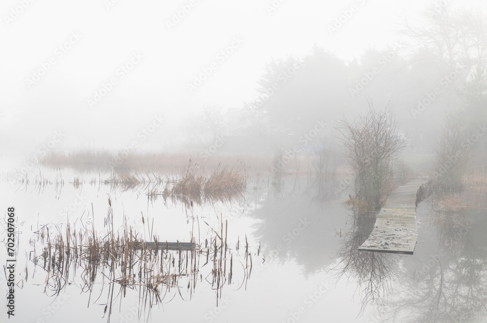 Foggy wetland with cattails and a dock leading to the water. Atmospheric look at a mysterious rural waterway on an island in the Pacific Northwest. Foggy wetland with cattails and a dock leading to the water. Atmospheric look at a mysterious rural waterway on an island in the Pacific Northwest.