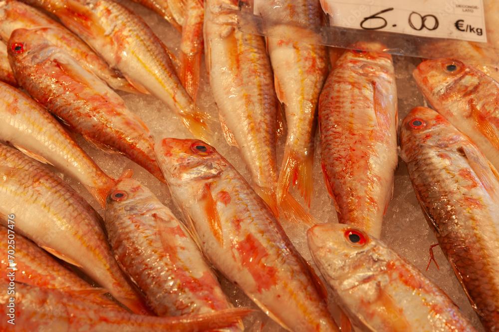 Fish on ice closeup in Italian fish night market stall. Fish on ice closeup in Italian fish night market stall.