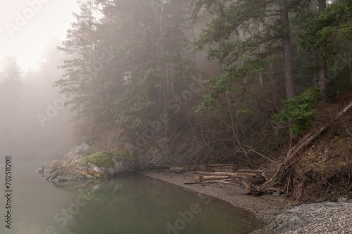 Foggy morning on an island shoreline in the Salish Sea area of Washington state. Beautiful atmospheric day on the coast of Lummi Island surrounded by a fir forest and a small rocky beach.
