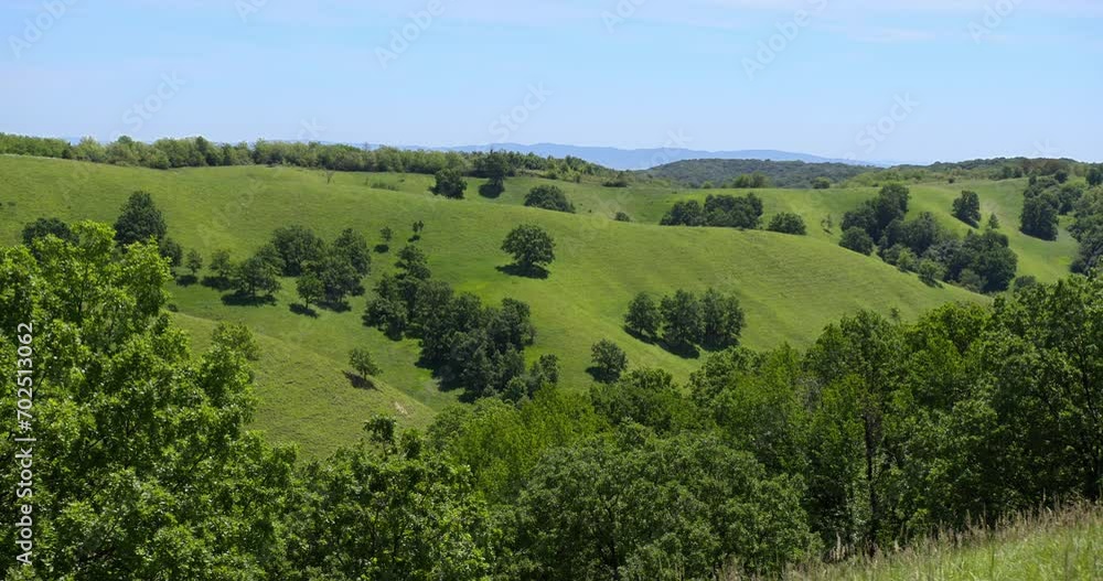Beautiful scene of green rolling hills full of trees under blue sky Beautiful scene of green rolling hills full of trees under blue sky