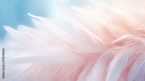 Feathers with soft blue and pink hues conveying a tranquil, gentle aesthetic.