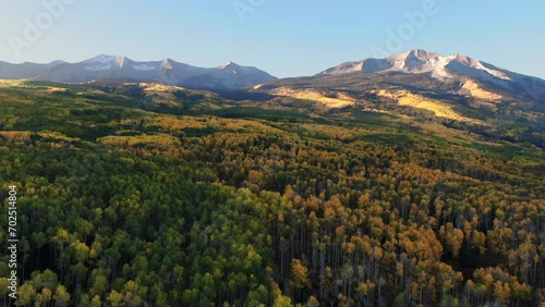Stunning bright bluebird first light sunny  morning autumn Aspen tree forest fall golden yellow colors Kebler Pass aerial cinematic drone Crested Butte Gunnison Colorado Rocky Mountains upward photo