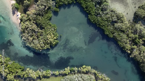 Littoral Rainforest, Mangroves and saltmarshes around Ukerebagh Island a significant cultural area for Aboriginal people of Australia . Drone view photo