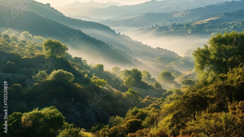 Landscape of Mountain with Fog