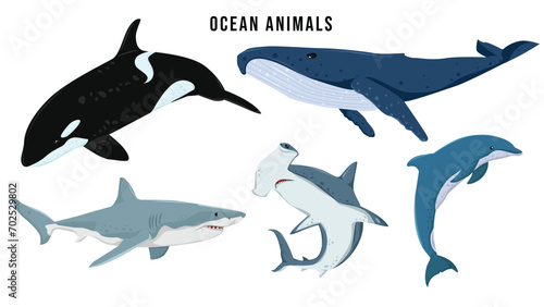 Set of ocean animals. Shark, whale, hammerhead shark, dolphin, orca, wildlife underwater animals vector illustration