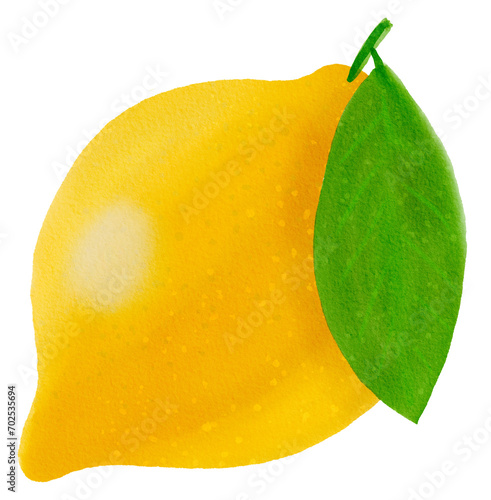hand drawn lemon illustration, digitally created