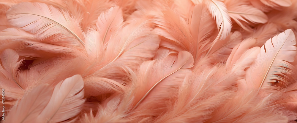 Full of feathers, Monochrome peach fuzz background, Smooth and beautiful feathers