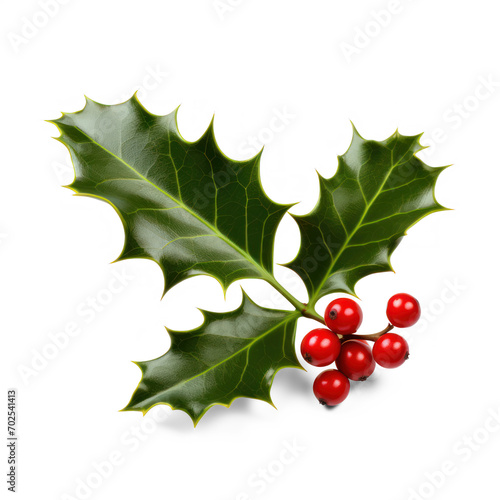 holly and berries on isolate transparency background, PNG
