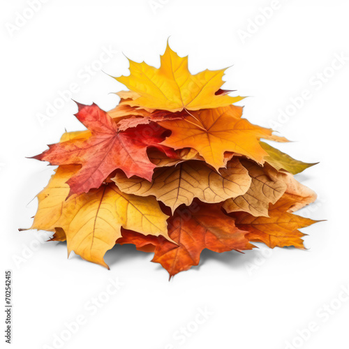 Heap of autumn leaves on isolate transparency background, PNG