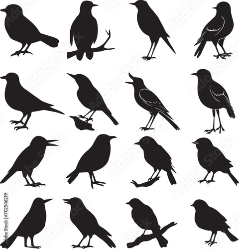 Bird s black silhouettes set. bird silhouettes on white background