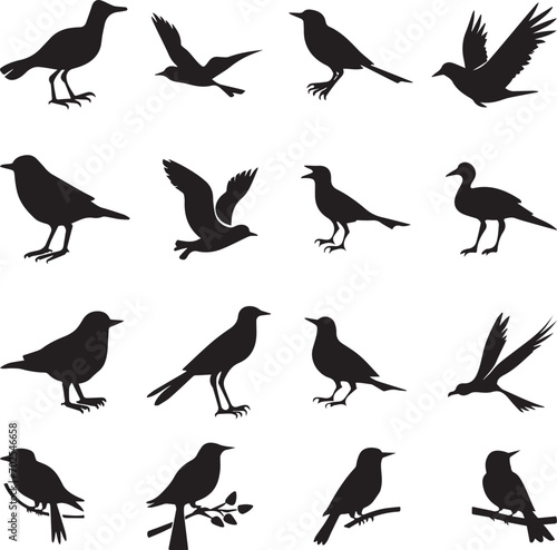 Bird s black silhouettes set. bird silhouettes on white background