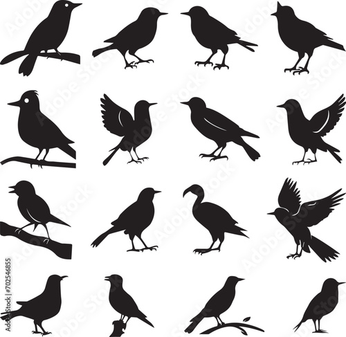 Bird s black silhouettes set. bird silhouettes on white background