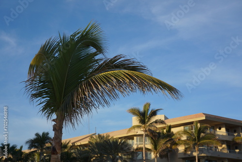 hotel, resort, sky, build, architecture, holiday, plant, paradise, palm, tree, travel, tropical, background © Eni