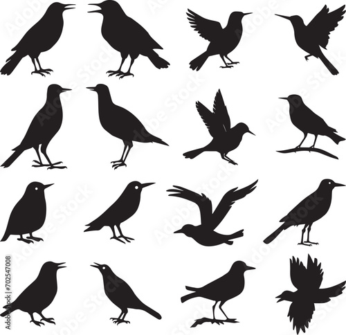 Bird s black silhouettes set. bird silhouettes on white background