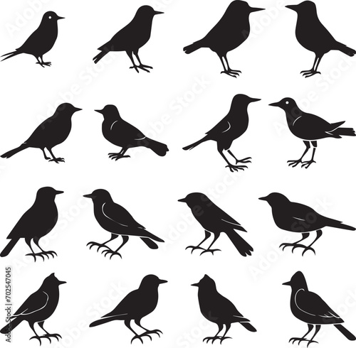 Bird's black silhouettes set. bird silhouettes on white background