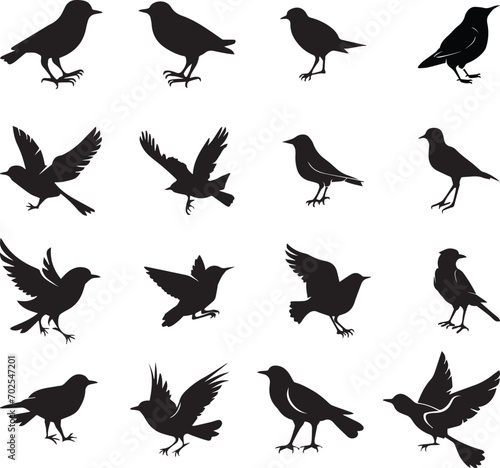 Bird's black silhouettes set. bird silhouettes on white background