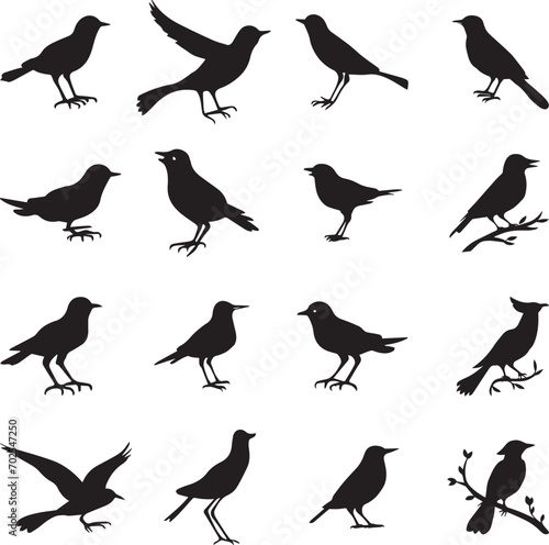 Bird s black silhouettes set. bird silhouettes on white background