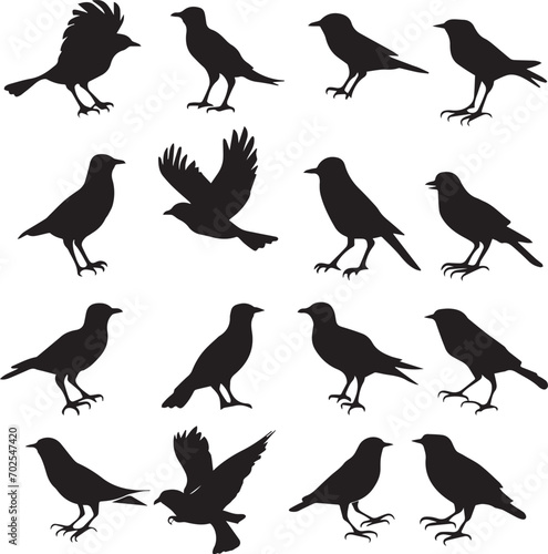 Bird s black silhouettes set. bird silhouettes on white background