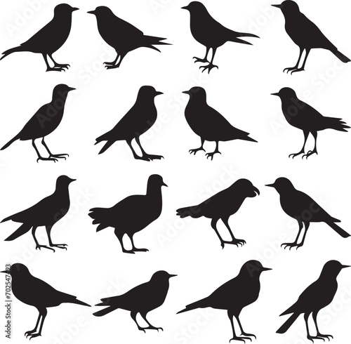 Bird s black silhouettes set. bird silhouettes on white background