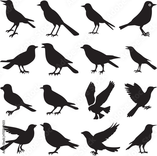 Bird s black silhouettes set. bird silhouettes on white background